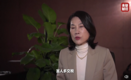 董明珠：提高工薪階層的稅收起征點(diǎn) 富人應(yīng)該多繳稅