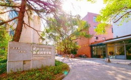 同濟(jì)大學(xué)宣布首次試點設(shè)立數(shù)學(xué)學(xué)科人才特區(qū)