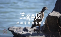 這個(gè)三月，北大青年以志愿行動(dòng)學(xué)習(xí)雷鋒