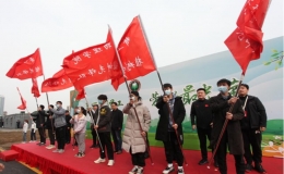 用辛勤勞動過有意義的植樹節(jié)
