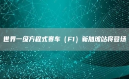 世界一級(jí)方程式賽車（F1）新加坡站將登場(chǎng)