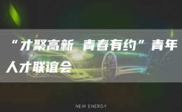 “才聚高新 青春有約”青年人才聯(lián)誼會(huì)