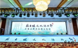 第二屆中國（杭州）蘇東坡文化旅游節(jié)開幕