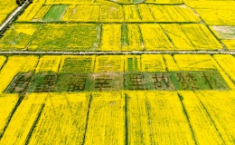 2022年“松贊”文化旅游節(jié)暨第五屆“油菜花”節(jié)15日開幕