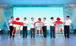 2022年蓋北野藤葡萄文化旅游節(jié)開幕