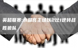 英超聯(lián)賽:水晶宮主場以2比1逆轉(zhuǎn)戰(zhàn)勝狼隊