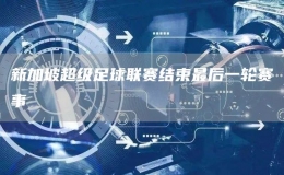 新加坡超級(jí)足球聯(lián)賽結(jié)束最后一輪賽事