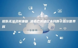 膝傷無(wú)法及時(shí)康復(fù) 波格巴將錯(cuò)過(guò)本月的卡塔爾世界杯