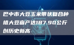 巴中市大豆玉米帶狀復(fù)合種植大豆畝產(chǎn)達187.90公斤 創(chuàng)歷史新高