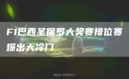 F1巴西圣保羅大獎(jiǎng)賽排位賽爆出大冷門