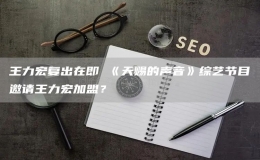 王力宏復出在即 《天賜的聲音》綜藝節(jié)目邀請王力宏加盟？