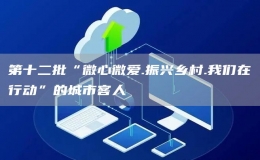 第十二批“微心微愛.振興鄉(xiāng)村.我們?cè)谛袆?dòng)”的城市客人