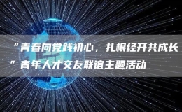 “青春向黨踐初心，扎根經(jīng)開共成長”青年人才交友聯(lián)誼主題活動(dòng)