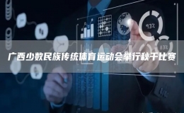 廣西少數(shù)民族傳統(tǒng)體育運(yùn)動(dòng)會(huì)舉行秋千比賽
