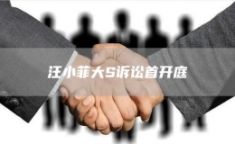 汪小菲大S訴訟首開庭
