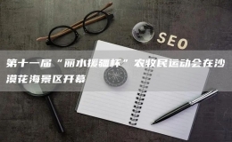 第十一屆“麗水援疆杯”農(nóng)牧民運(yùn)動(dòng)會(huì)在沙漠花海景區(qū)開(kāi)幕