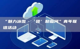 “魅力冰雪·‘團’聚臨河”青年聯(lián)誼活動