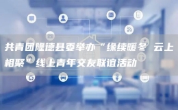 共青團(tuán)隆德縣委舉辦“緣續(xù)暖冬 云上相聚”線上青年交友聯(lián)誼活動(dòng)