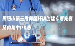 揭陽市第三批美麗圩鎮(zhèn)創(chuàng)建專項競賽場內集中PK賽