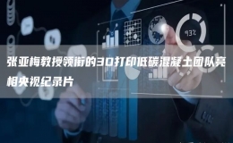 張亞梅教授領銜的3D打印低碳混凝土團隊亮相央視紀錄片