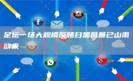 足壇一場(chǎng)大規(guī)模反賭掃黑風(fēng)暴已山雨欲來