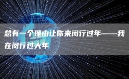 總有一個理由讓你來閔行過年——我在閔行過大年