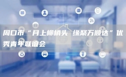 周口市“月上柳梢頭 緣聚萬順達”優(yōu)秀青年聯(lián)誼會