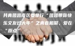 共青團(tuán)路南區(qū)委舉行“團(tuán)團(tuán)帶你快樂交友過大年”之青春相聚，愛在“原點(diǎn)”