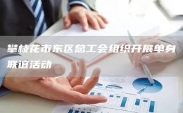 攀枝花市東區(qū)總工會(huì)組織開(kāi)展單身聯(lián)誼活動(dòng)