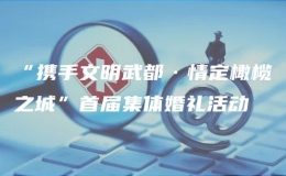 “攜手文明武都·情定橄欖之城”首屆集體婚禮活動