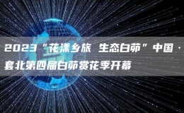 2023“花漾鄉(xiāng)旅 生態(tài)白茆”中國·套北第四屆白茆賞花季開幕