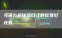 馬英九前往漢口江畔欣賞燈光秀