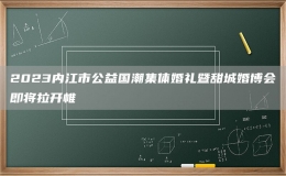 2023內(nèi)江市公益國潮集體婚禮暨甜城婚博會(huì)即將拉開帷
