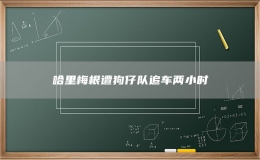 哈里梅根遭狗仔隊(duì)追車(chē)兩小時(shí)