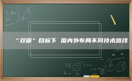 “雙碳”目標(biāo)下 國內(nèi)外布局不同技術(shù)路線