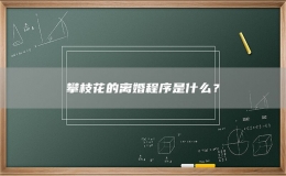 攀枝花的離婚程序是什么？