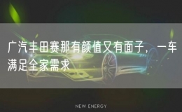 廣汽豐田賽那有顏值又有面子，一車滿足全家需求