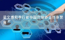 梁文博和李行被中國臺(tái)球協(xié)會(huì)終身禁賽