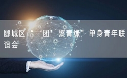 郾城區(qū)“‘團’聚青緣”單身青年聯(lián)誼會
