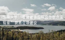 東南大學(xué)“零碳能源國際合作聯(lián)合實驗室”獲批立項建設(shè)