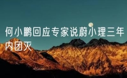 何小鵬回應(yīng)專家說蔚小理三年內(nèi)團滅