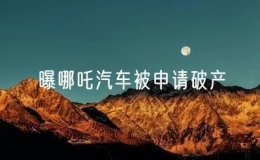 曝哪吒汽車被申請破產(chǎn)