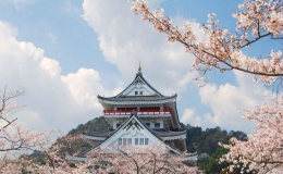 日本的國(guó)土面積有多大，日本國(guó)土面積多少平方公里