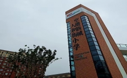 重慶小學排名(重慶小學排名2022最新排名)