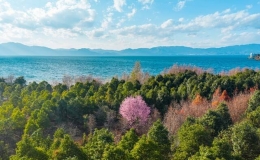 云南省gdp排名(2022云南省城市g(shù)dp排名)